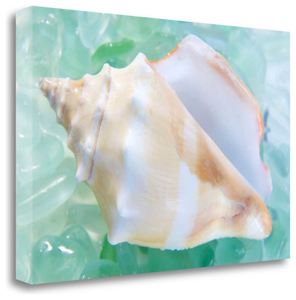"Crystal Cove - 28" By Alan Blaustein, Giclee Print on Gallery Wrap Canvas