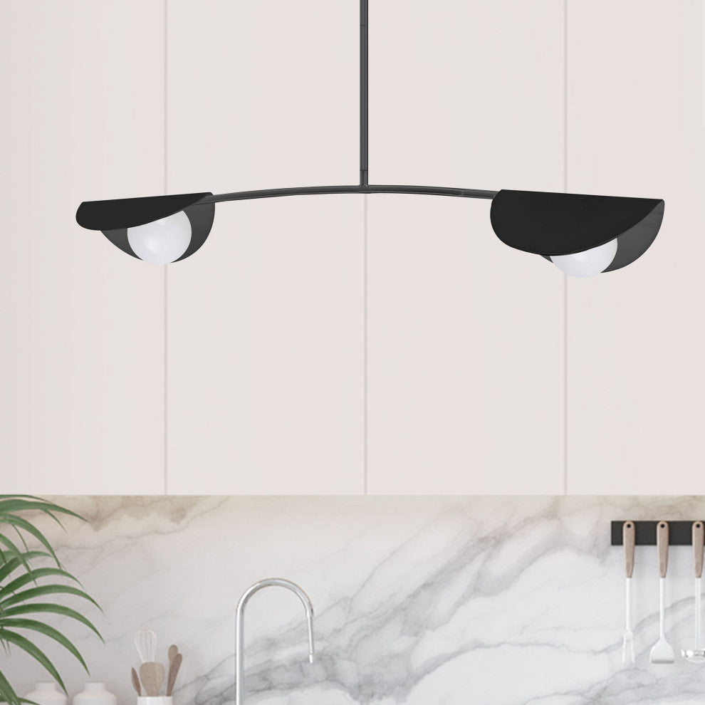 Emma Contemporary 2 Light Matte Black White Metal Pendant
