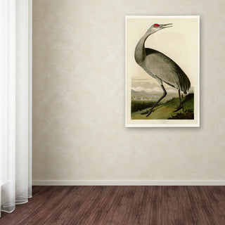 Audubon 'Whooping Craneplate 261' Canvas Art, 24 x 16