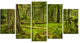 Lush Rainforest in Cathedral Grove, Landscape Canvas Print, 60"x32", 5 Panels