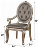 ACME Northville Arm Chair (Set-2), PU and Antique Champagne