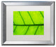 Cora Niele ''Leaf Texture III'' Matted Framed Art