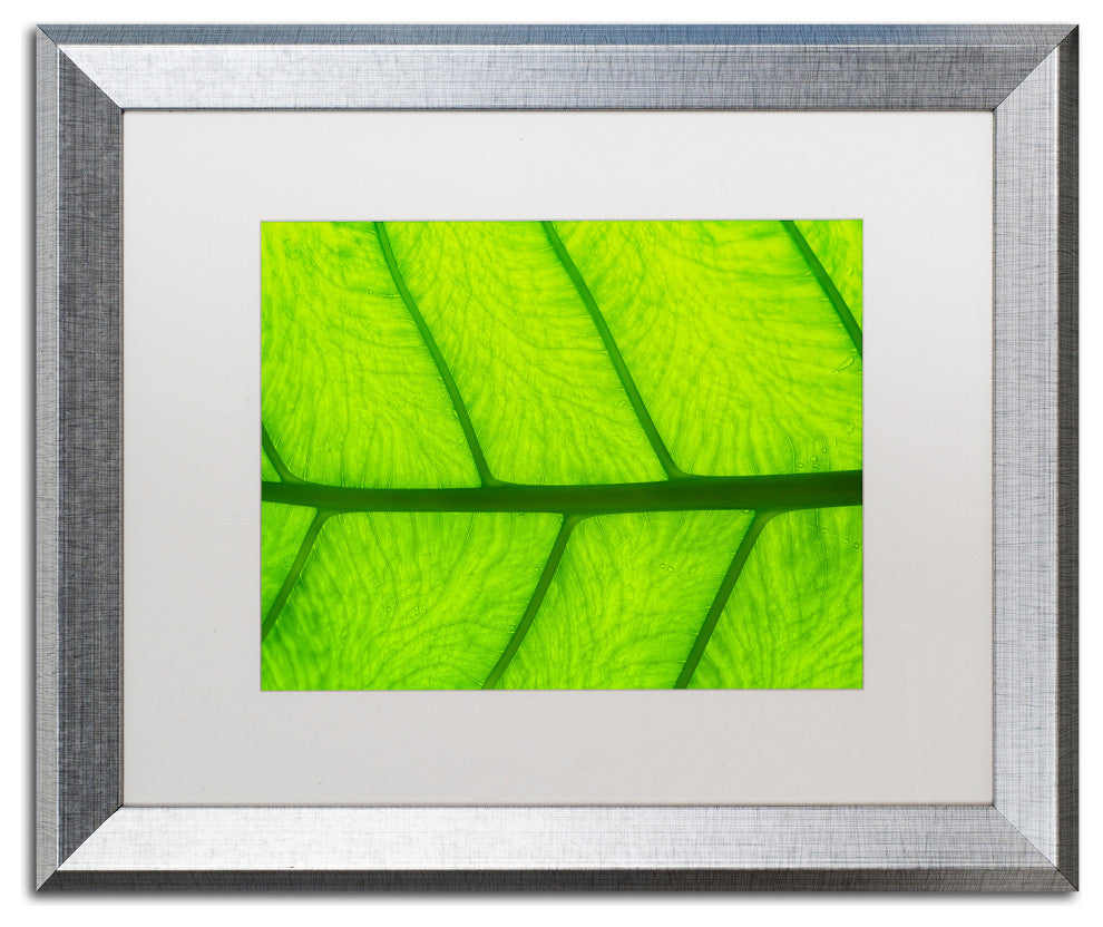 Cora Niele ''Leaf Texture III'' Matted Framed Art