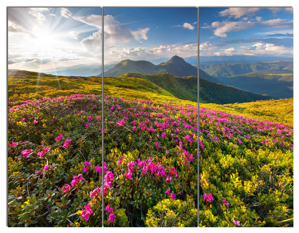 Summer Day Rhododendron Flowers, Landscape Triptych Canvas Art, 36x28, 3 Panels
