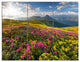 Summer Day Rhododendron Flowers, Landscape Triptych Canvas Art, 36x28, 3 Panels