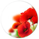 Fantastic Poppy Flowers On White, Modern Floral Disc Metal Artwork, 11"