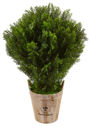 Full product on a clean white background; front-facing view showing the cedar plant in the barrel planter with no text overlays.