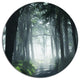 Dense Rain Forest At Sunrise, Landscape Round Wall Art, 23"