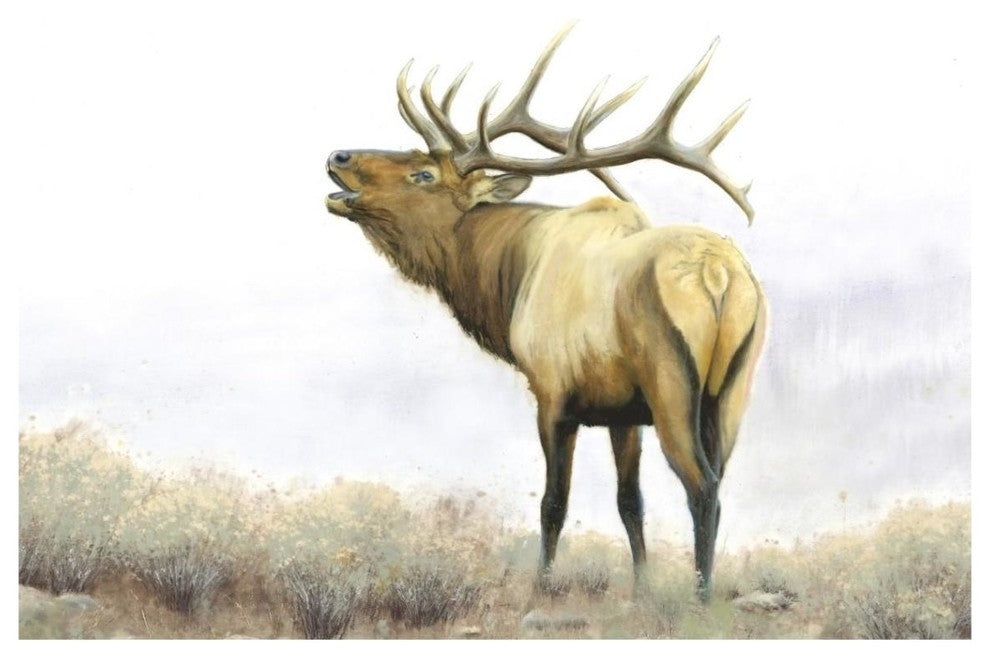 "Majestic Elk" Digital Paper Print by James Wiens, 20"x14"