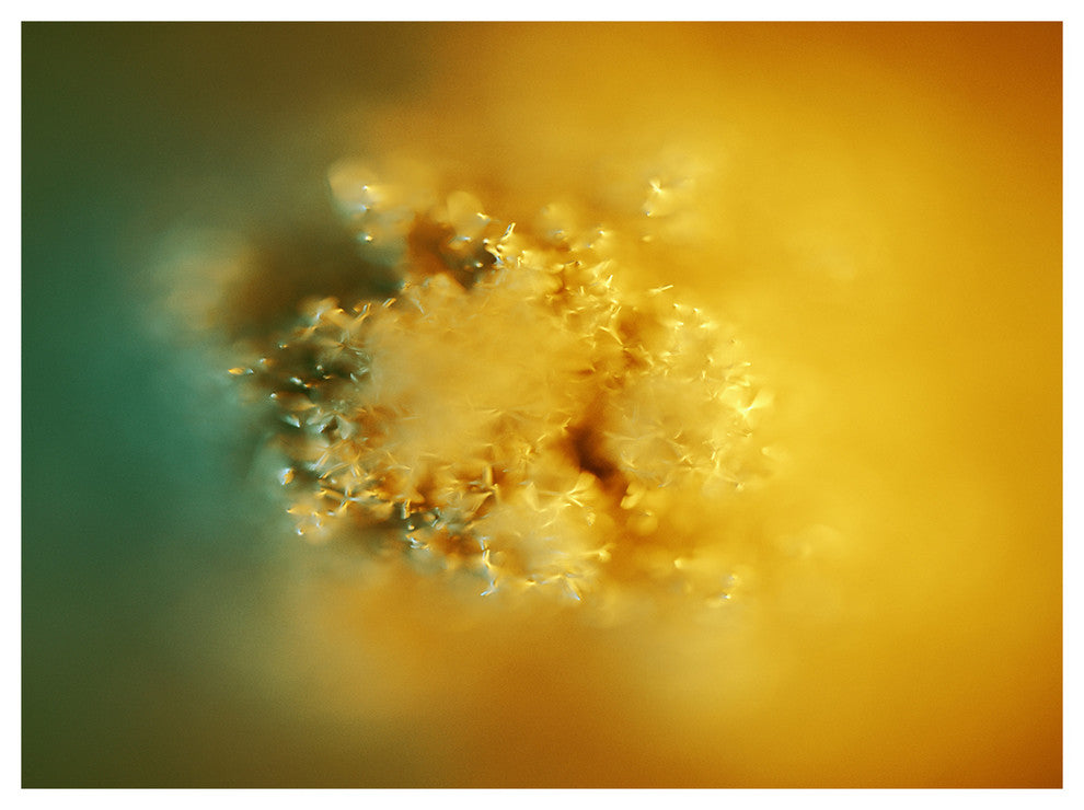 3D Prickly Digital Illustration, Abstract Canvas Art Print, 40"x30"