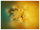 3D Prickly Digital Illustration, Abstract Canvas Art Print, 40"x30"