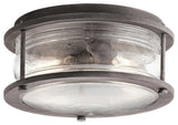 Outdoor Ceiling 2-Light