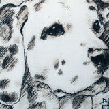 Leonardo's Dogs Dalmatian Dog Pillow