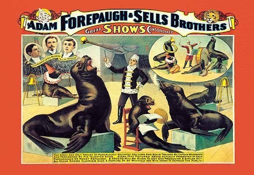 Troupe of Marvelously Educated Sea Lions and Seals