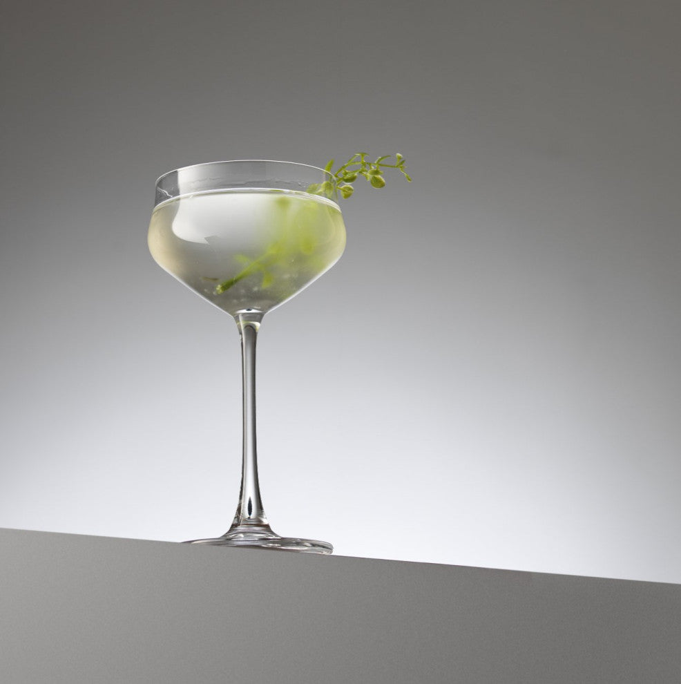 Bloom Coupe Crystal Glasses 9.2 oz, Set of 2