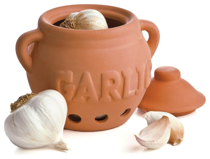 Prepworks from Progressive Terracotta Garlic Keeper