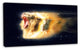White Lion with Open Jaws, Animal Canvas Wall Art, 32"x16"