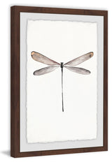 "Tall Dragonfly" Framed Painting Print, 24"x36"