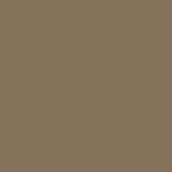 Blazing Needles Renewal 9" Twill Twin Futon Mattress, Toffee
