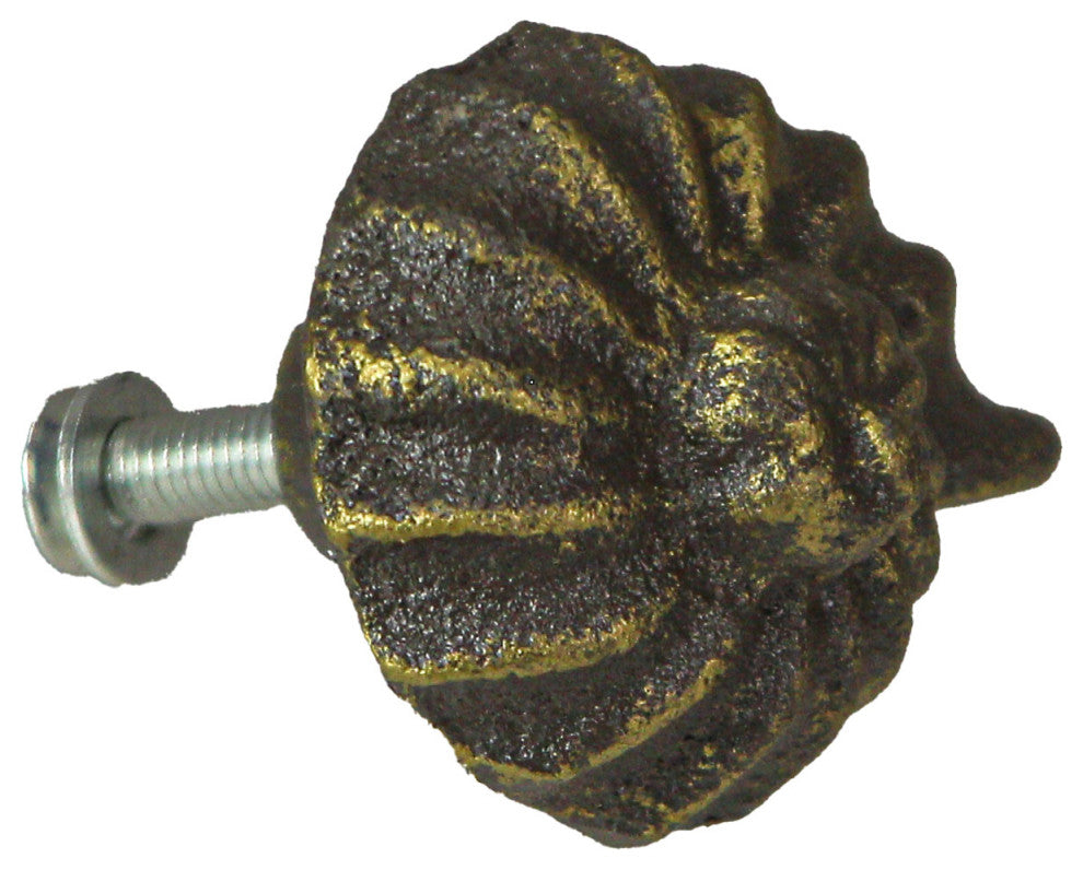 Bronze Cast Iron Nautilus Shell Drawer Pull Decorative Cabinet Knobs Set of 6
