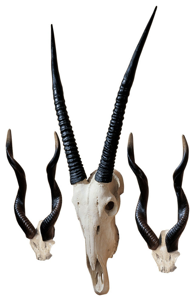 African Wall Trophies Set