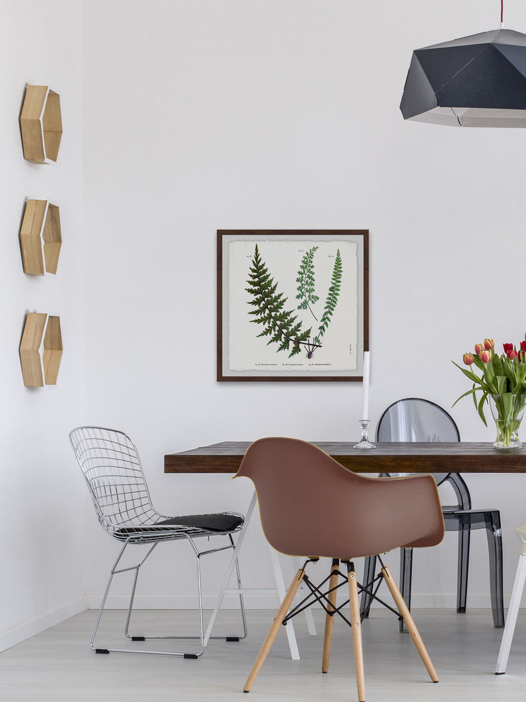"Indian Ferns" Framed Painting Print, 24"x24"
