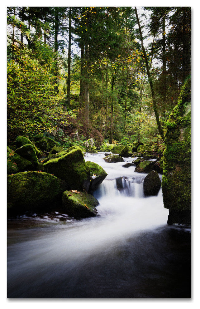 'Waterfall in the Forest' Canvas Art by Philippe Sainte-Laudy