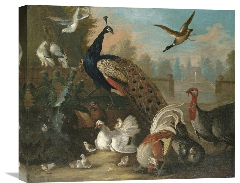 "A Peacock and Other Birds" Canvas Giclee by Marmaduke Cradock, 22"x18"