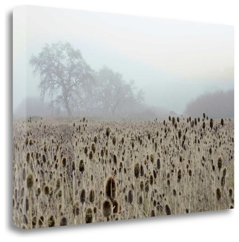 "Oak Tree - 61" By Alan Blaustein, Giclee Print on Gallery Wrap Canvas