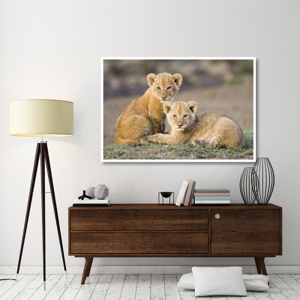 "African Lion cubs, vulnerable, Masai Mara National Reserve" Paper Art, 62"x42"
