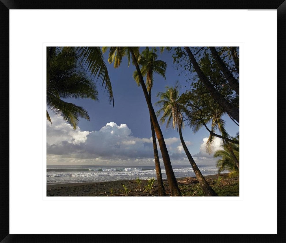 Palm Trees On The Beach Near Marino Ballena National Park, Costa Rica, 22"x18"