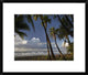 Palm Trees On The Beach Near Marino Ballena National Park, Costa Rica, 22"x18"