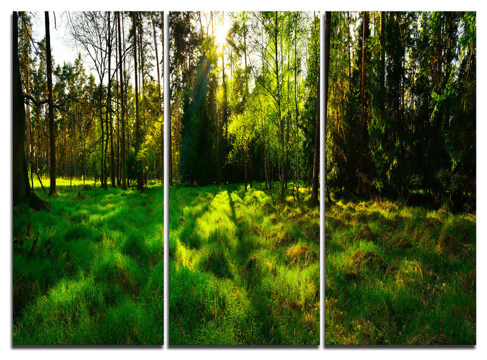 "Green Forest Sunset Panorama" Metal Wall Art, 3 Panels, 36"x28"
