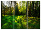 "Green Forest Sunset Panorama" Metal Wall Art, 3 Panels, 36"x28"