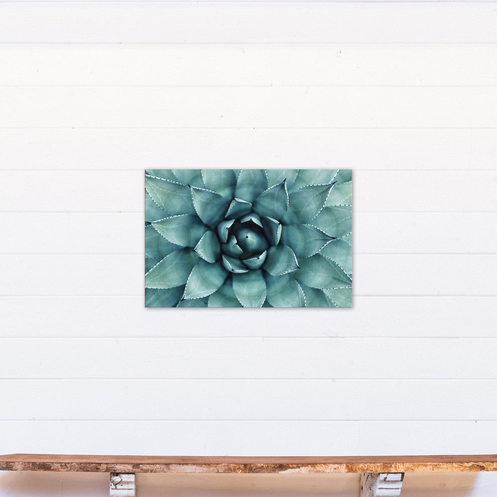 "Agave 3" Canvas Wall Art, 30"x20"