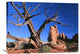 "Snag At  Fiery Furnace Labyrinth, Arches National Park, Utah" Artwork