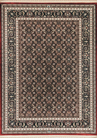 Brilliant Rug, 6'7"x9'10"