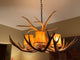 Mule Deer Single Tier Antler Chandelier Light, Medium, No Shades