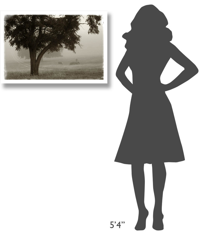 "Calm Mist" Digital Paper Print by Debra Van Swearingen, 32"x22"