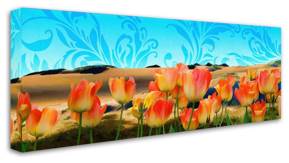 Tina Lavoie 'Painted Sky Panorama' Canvas Art, 14" x 32"