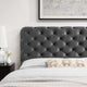 Tufted Headboard, Twin Size, Velvet, Dark Gray, Modern Contemporary