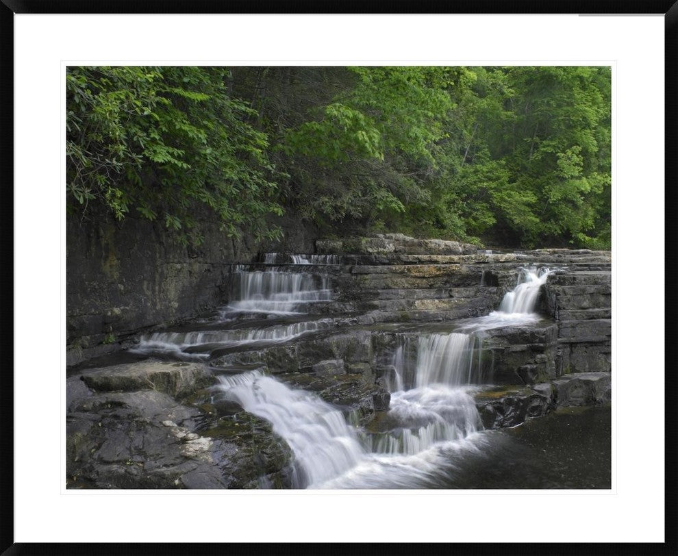 "Dismal Falls, Jefferson National Forest, Virginia"  by Tim Fitzharris, 40x32"