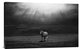 "Morning Appearance" Stretched Canvas Giclee by Peter Svoboda, 30"x19"