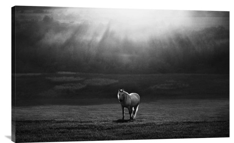 "Morning Appearance" Stretched Canvas Giclee by Peter Svoboda, 30"x19"