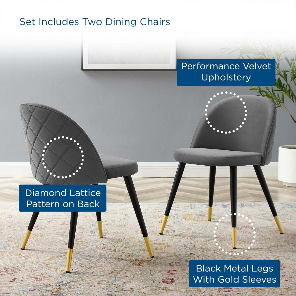 Cordial Performance Velvet Dining Chairs - Set of 2-Gray