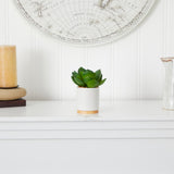 6" Succulent Artificial Plant, White Ceramic Planter