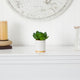 6" Succulent Artificial Plant, White Ceramic Planter