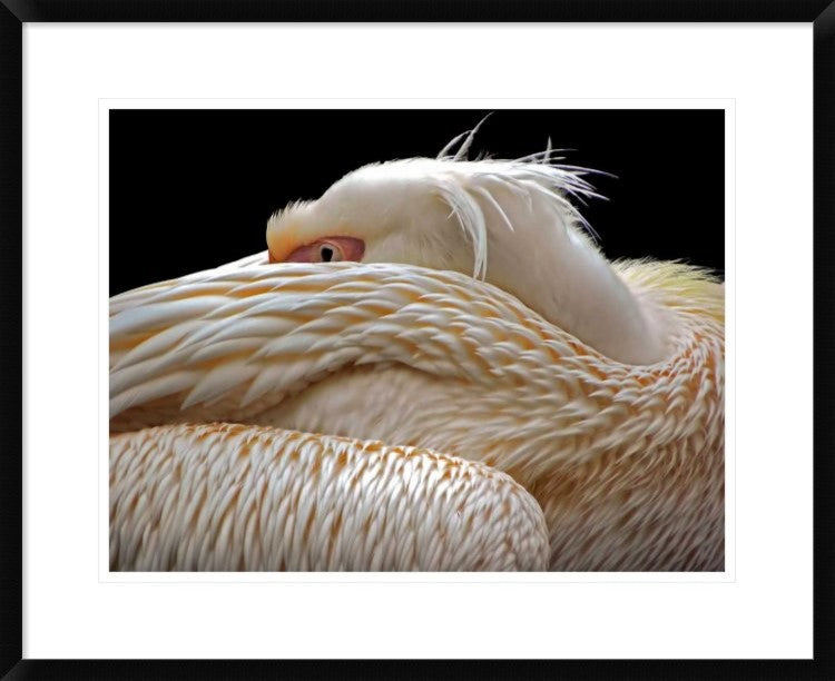 "To Be Half Asleep" Framed Digital Print by Thierry Dufour, 30"x24"