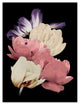 More Moody Flowers 30x40 Canvas Wall Art