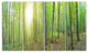 Thick Green Forest Panorama, Landscape Canvas Art Print, 48"x28", 4 Panels